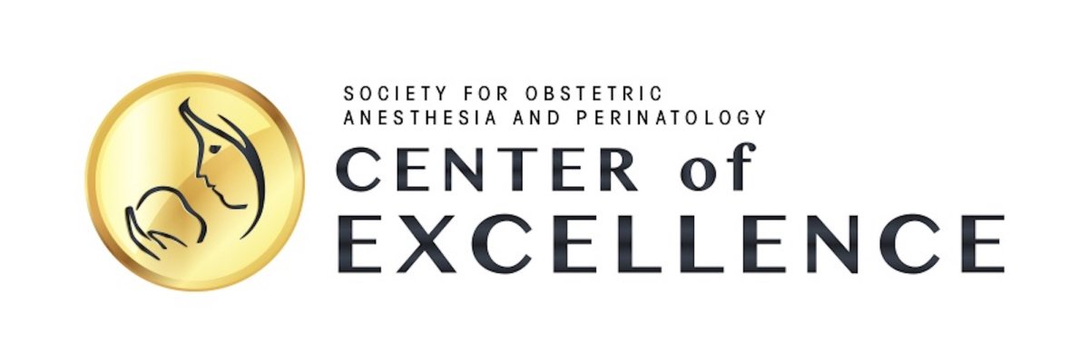 SOAP center of excellence logo