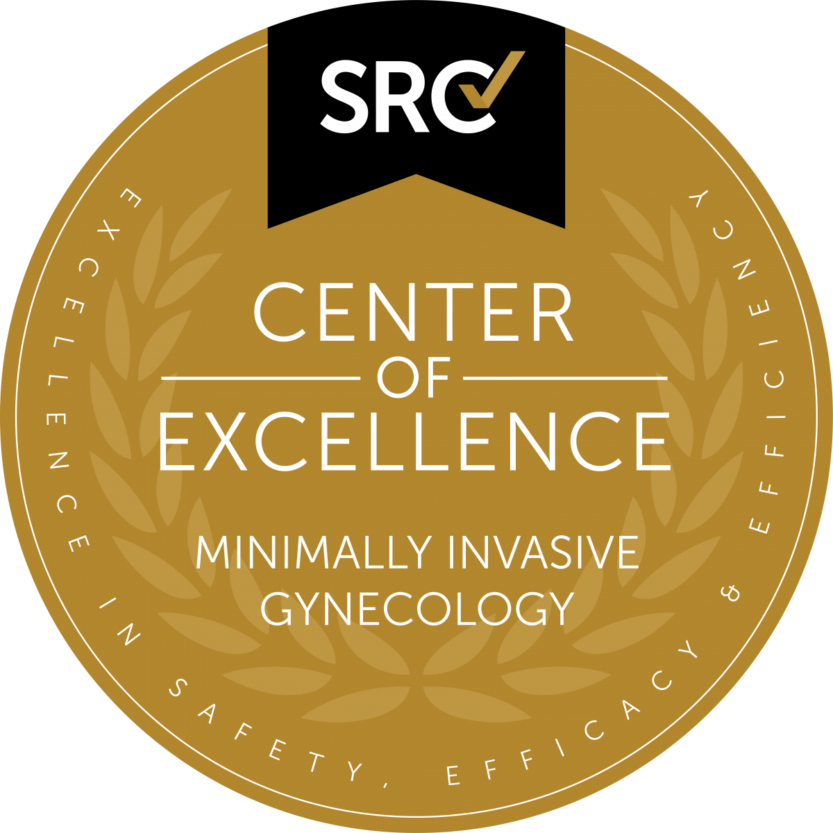 SRC Center of Excellence Minimally Invasive Gynecology