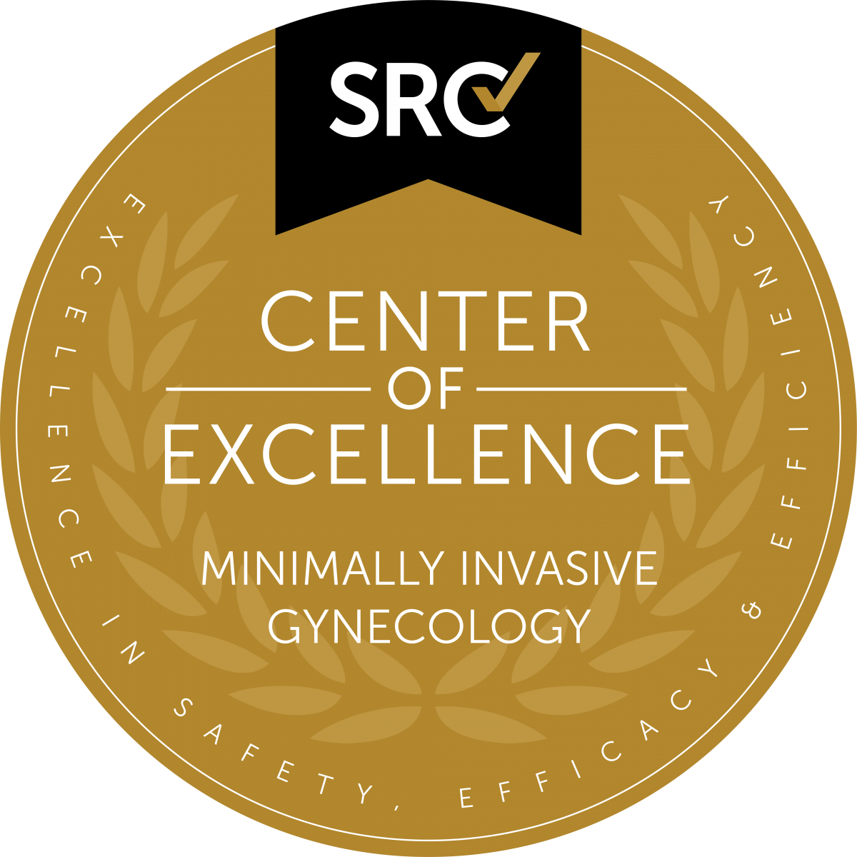 Logotipo del Centro de Excelencia de Ginecología Mínimamente Invasiva de SRC