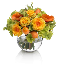 Flowers in Vase