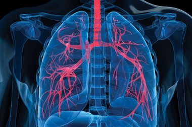 GW Health News - The next frontier in virtual reality technology GW Health News - The next frontier in virtual reality technology