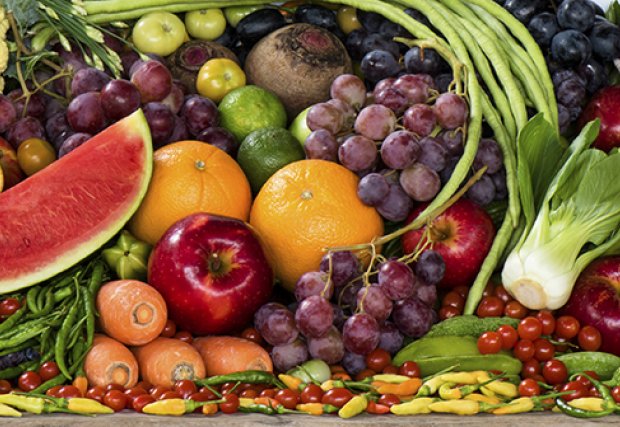 Transplant Nutrition Support Group Transplant Nutrition Support Group