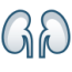 Icon of kidneys.